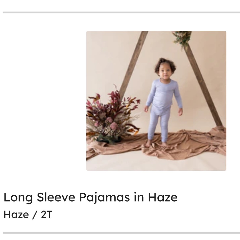 NWT Kyte Baby Purple Long sleeve Pajama Set